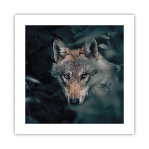 Poster - Vânător - 40x40 cm