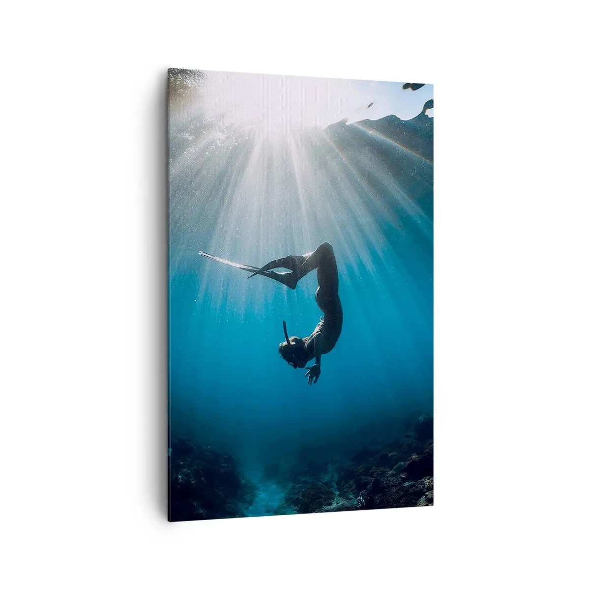 Tablou pe pânză - Dans subacvatic - 80x120 cm