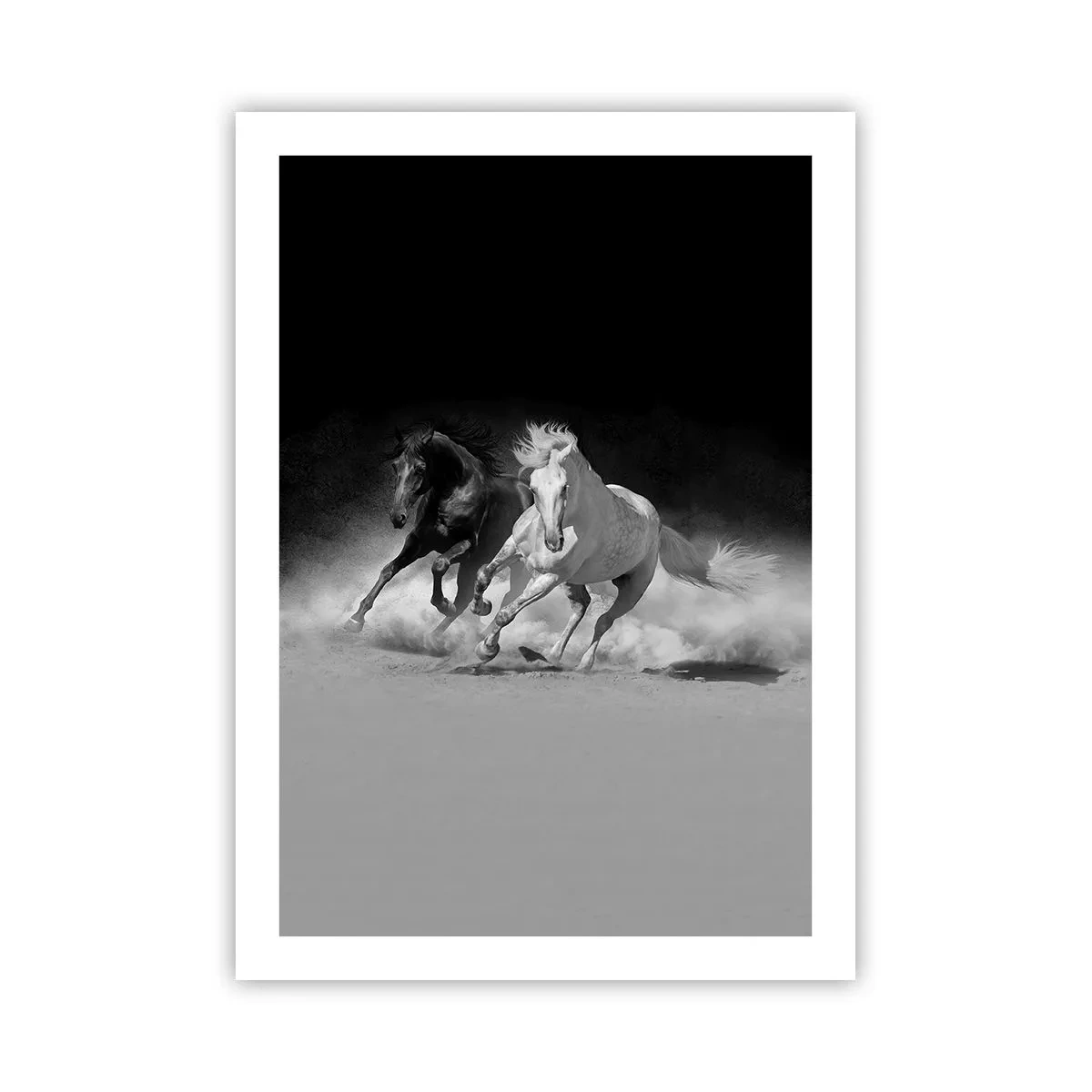 Poster - Galopul libertății - 50x70 cm