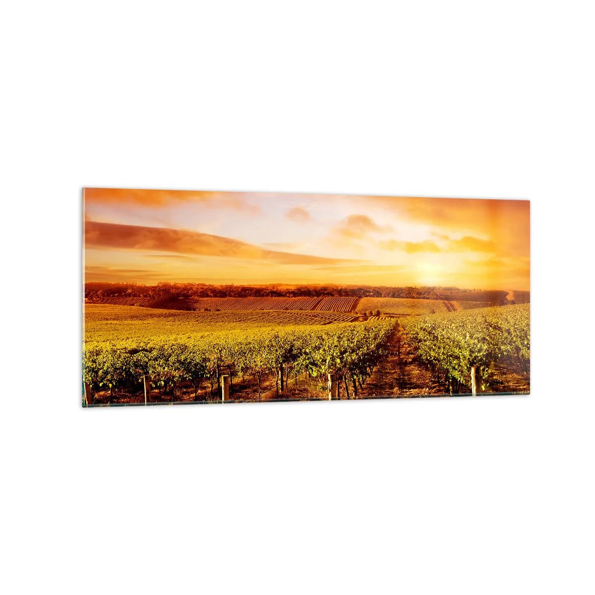 Tablou pe sticlă - Cu un iz de fructe, cu o notă de soare - 120x50 cm