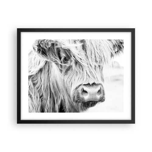 Poster în ramă neagră - Sălbăticie scoțiană - 50x40 cm