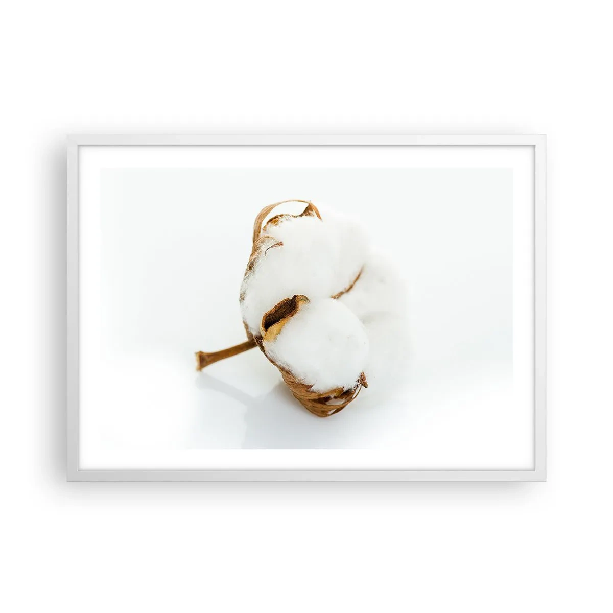 Poster în ramă albă - Moale prin natură - 70x50 cm