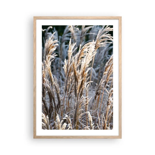 Poster în ramă de stejar deschis - Împodobite cu brumă - 50x70 cm