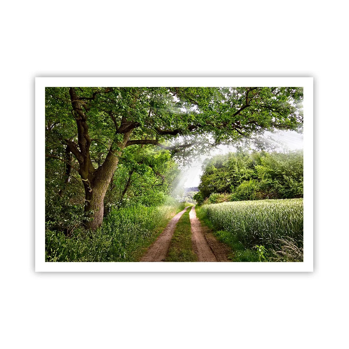 Poster - Et in Arcadia ego - 100x70 cm
