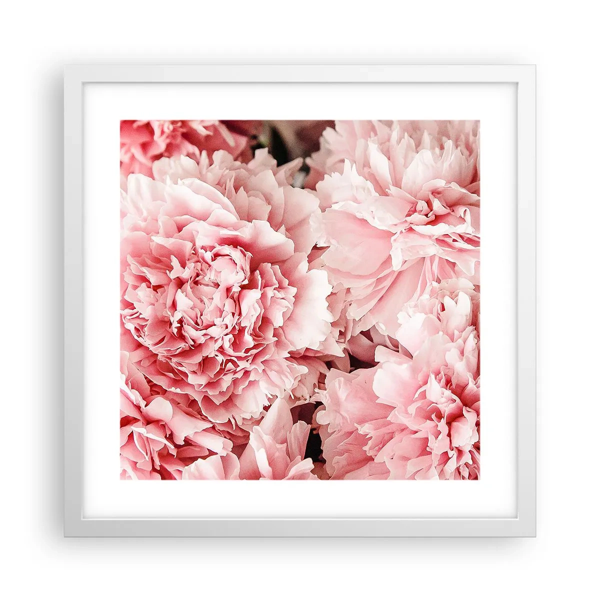 Poster în ramă albă - Visul roz - 40x40 cm