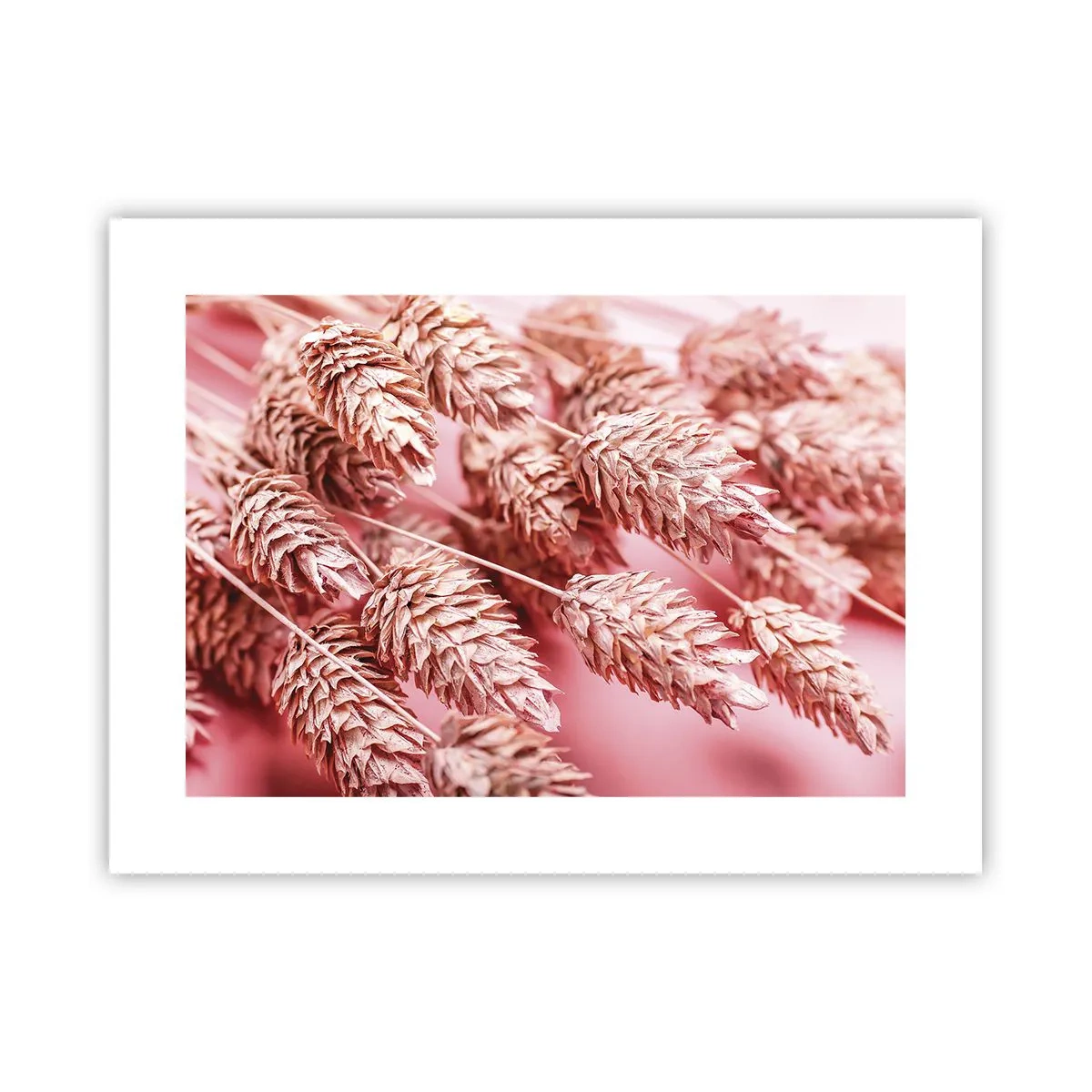 Poster - Cascadă florală în roz - 40x30 cm