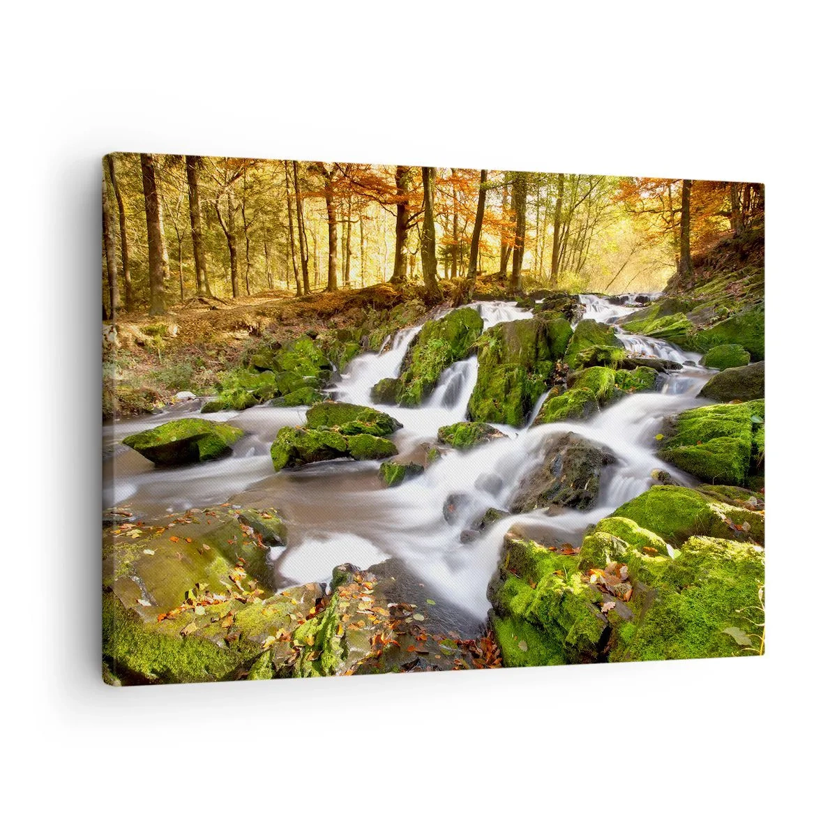 Tablou pe pânză Canvas - Un peisaj împădurit cu o cascadă înconjurată de mușchi - 70x50cm - Repede prin pădure de toamnă - Decorațiune modernă pentru perete pentru living și dormitor ARTTOR