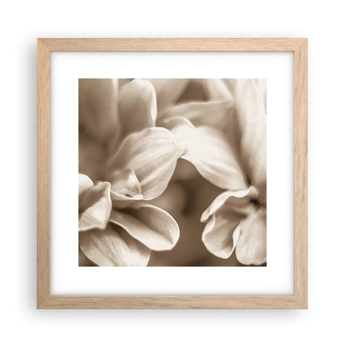 Poster în ramă de stejar deschis - Blânde ca un zâmbet - 30x30 cm