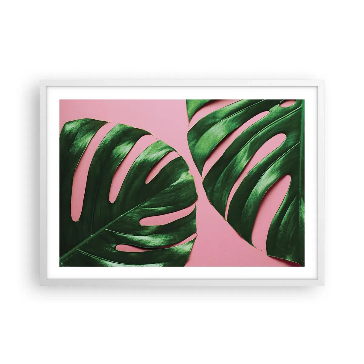 Poster în ramă albă - Întâlnire verde - 70x50 cm
