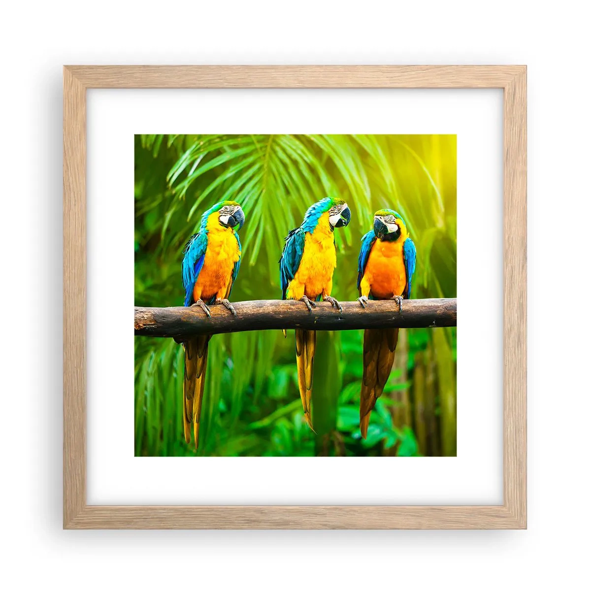 Poster în ramă de stejar deschis - Și ai auzit că ea...? - 30x30 cm