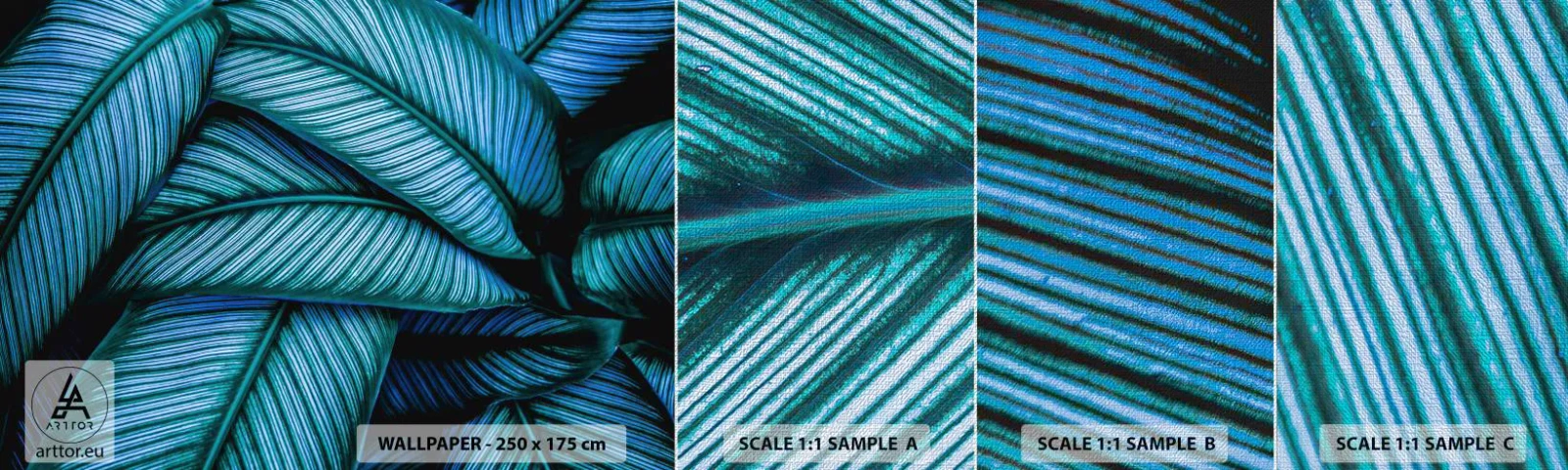 Mostră tapet Premium Canvas - Linii de viață - Frunze, Botanică, Plante - 100x30 cm