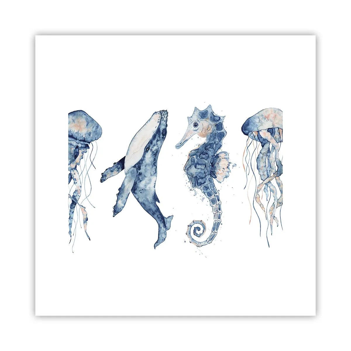 Poster - Fauna marină sălbatică - 30x30 cm