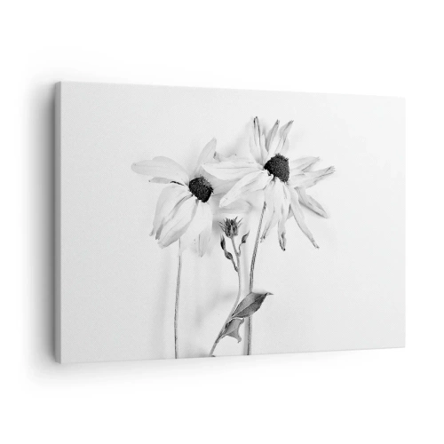 Tablou pe pânză Canvas - Flori alb-negre cu o compoziție subtilă - 70x50cm - Nimeni nu vrea să fie singur - Decorațiune modernă pentru perete pentru living și dormitor ARTTOR