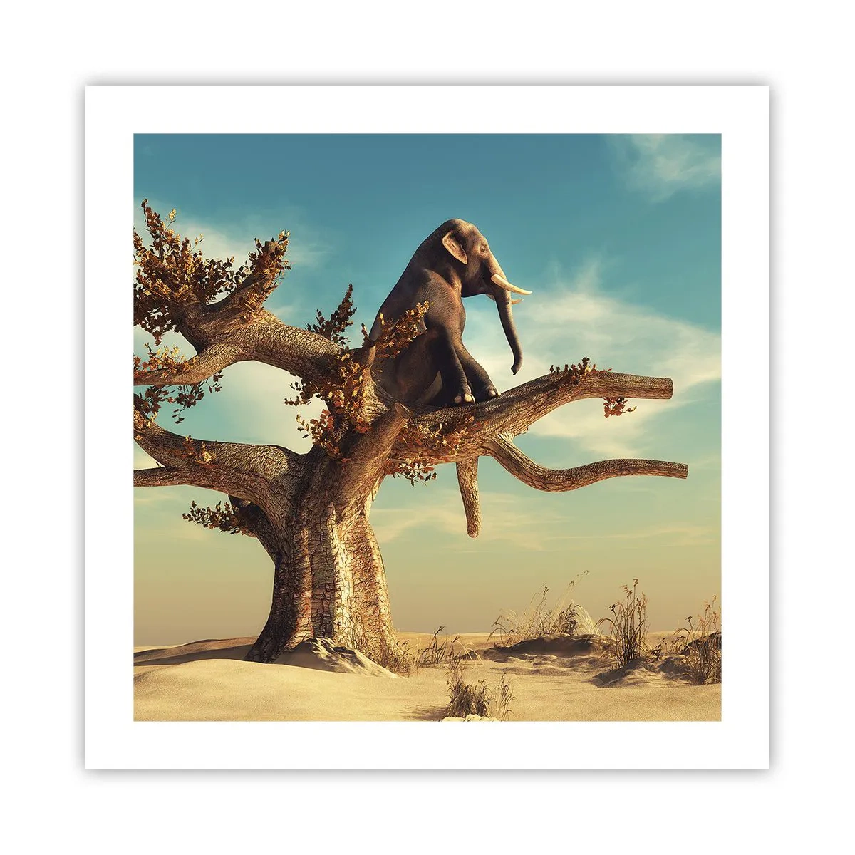 Poster - Un nou punct de vedere - 50x50 cm