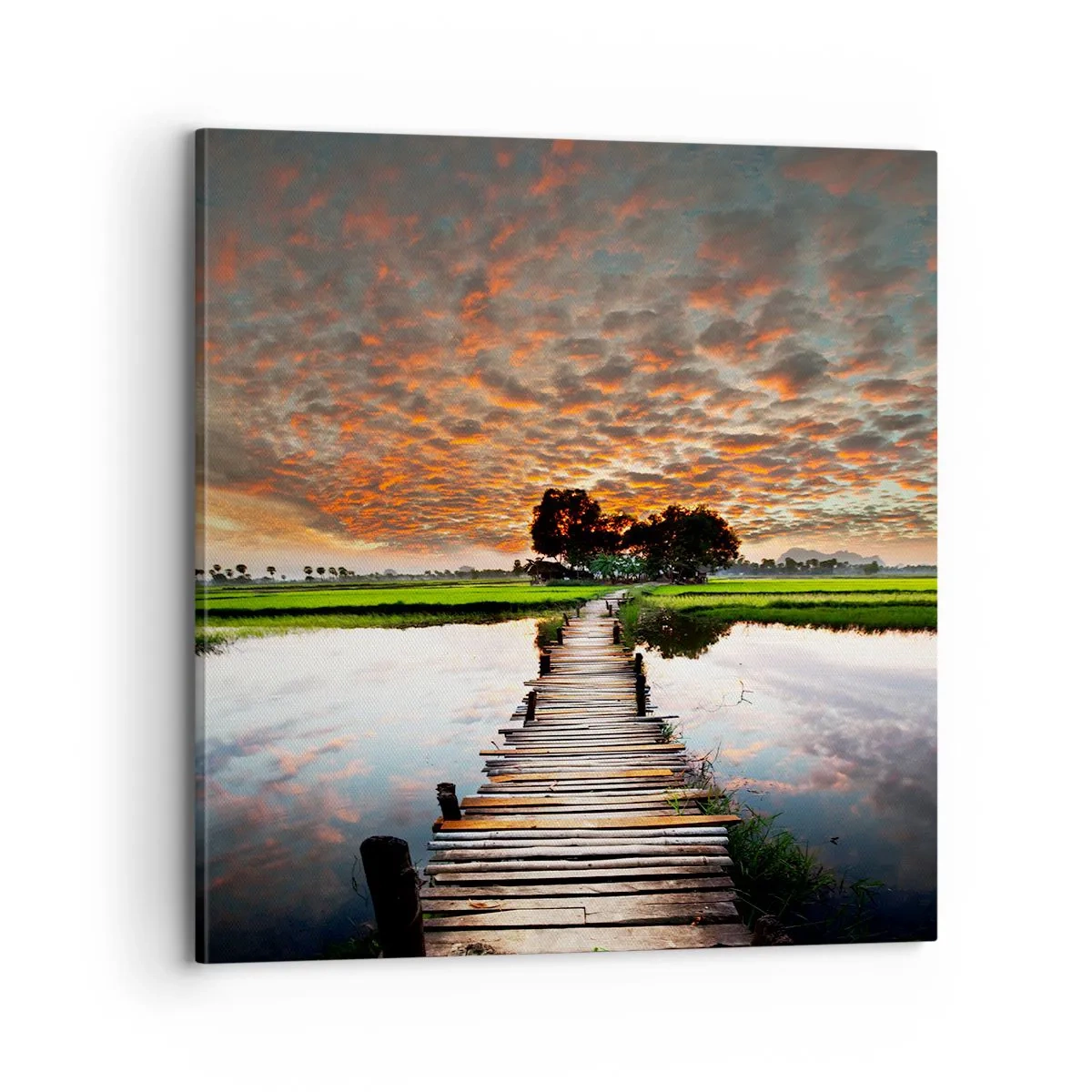 Tablou pe pânză - Întindeți brațele - respirați  - 70x70 cm