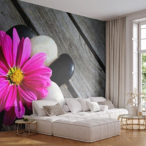 Tapet Premium Canvas - Odihnă pe dig - Floare, Pietre, Pod de lemn - 250x175 cm