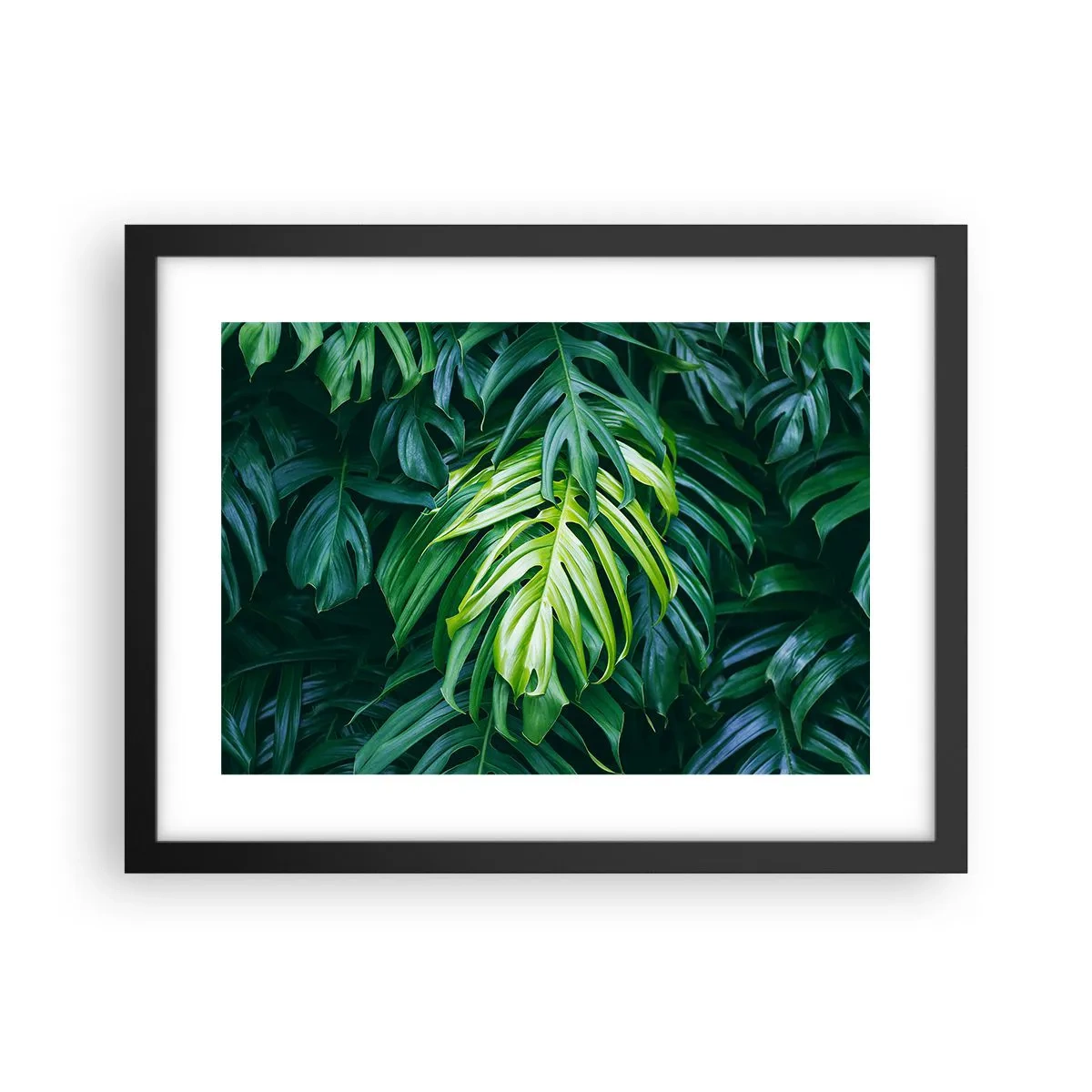 Poster în ramă neagră - Scufundă-te în prospețime - 40x30 cm