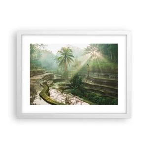 Poster în ramă albă - Crescând la soare - 40x30 cm