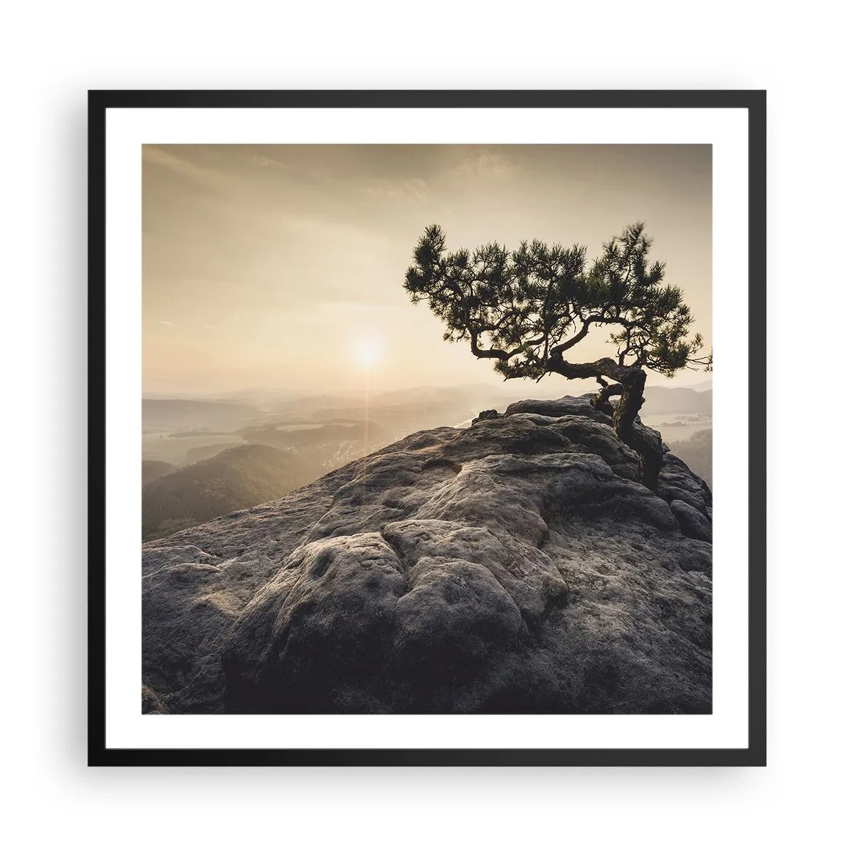 Poster în ramă neagră - Viața învinge întotdeauna - 60x60 cm