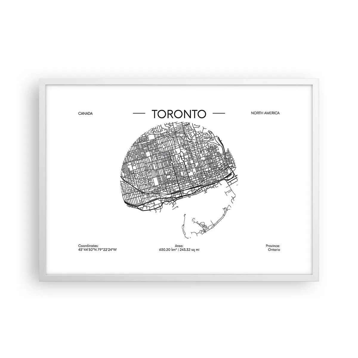 Poster în ramă albă - Anatomia Toronto - 70x50 cm