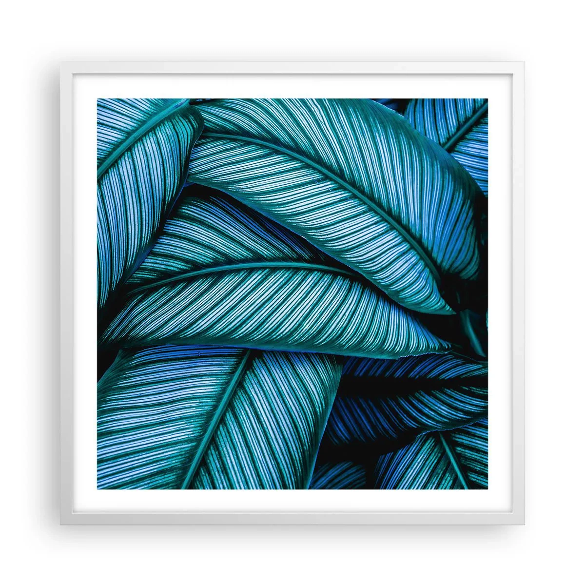 Poster în ramă albă - Linii de viață - 60x60 cm