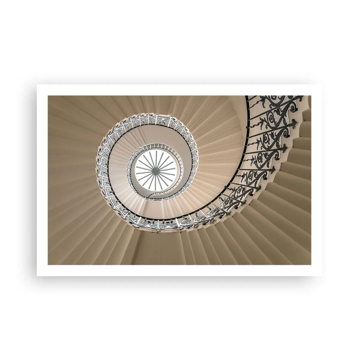 Poster - În interiorul cochiliei - 91x61 cm