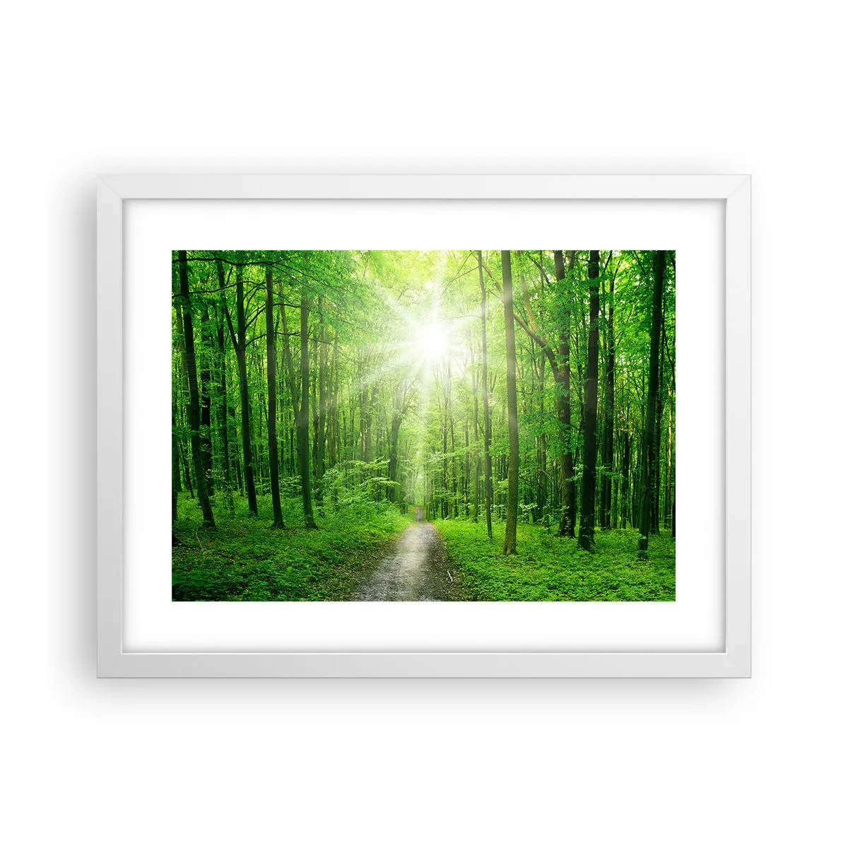 Poster în ramă albă - Catedrala verde - 40x30 cm