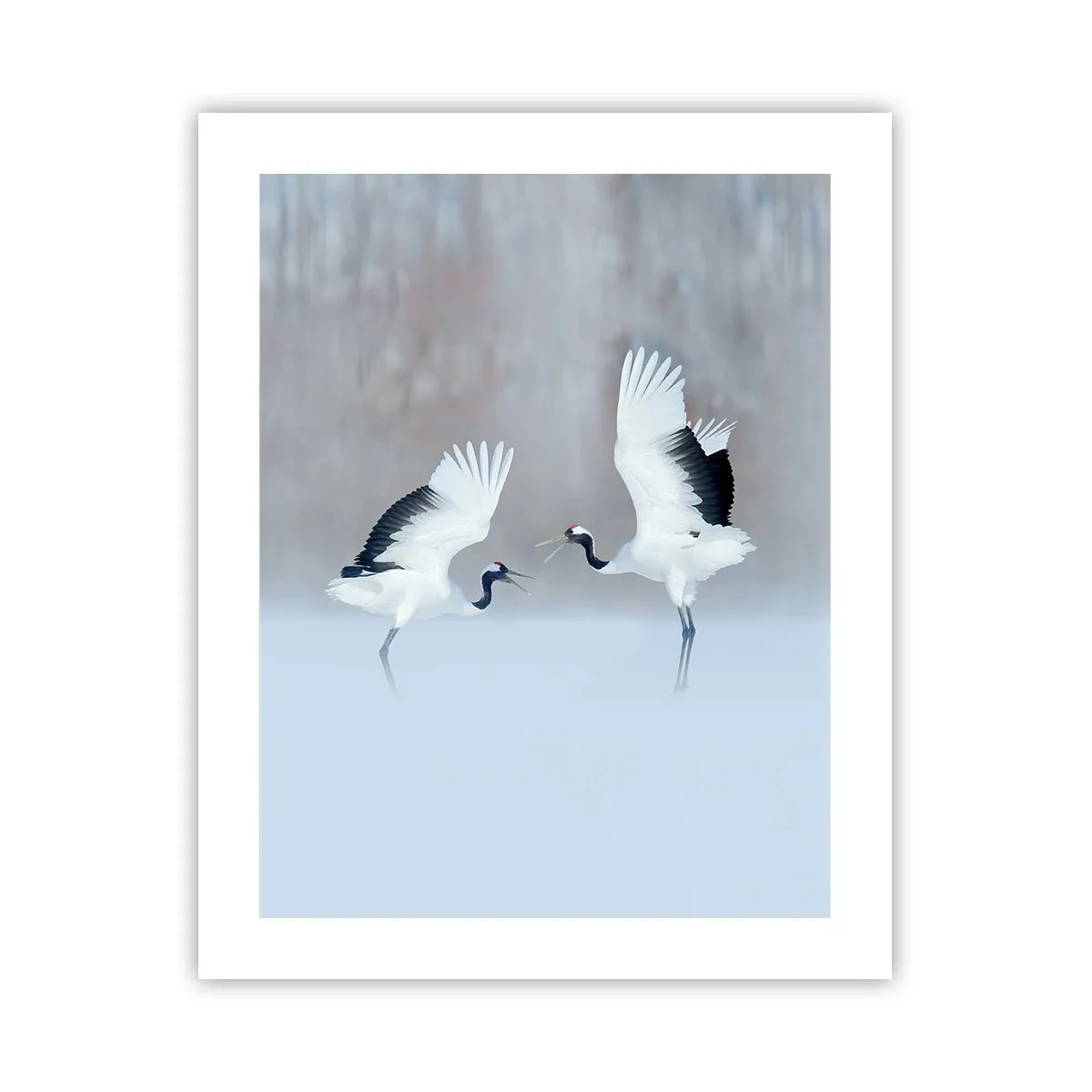 Poster - Dansând în ceață - 40x50 cm