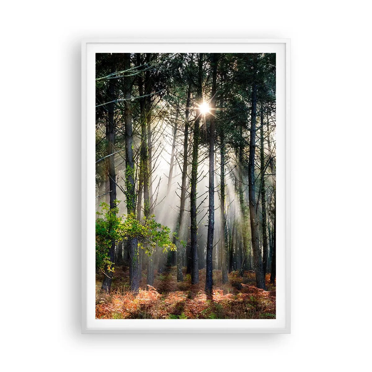 Poster în ramă albă - Pădure sălbatică - 70x100 cm