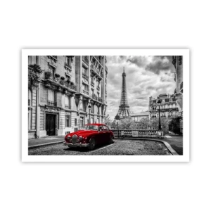 Poster - Prădător în oraș - 91x61 cm