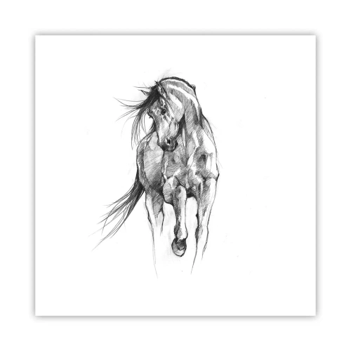 Poster - Într-un trap grațios - 40x40 cm
