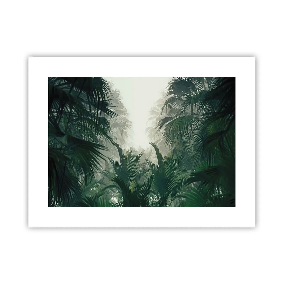 Poster - Mister tropical - 40x30 cm