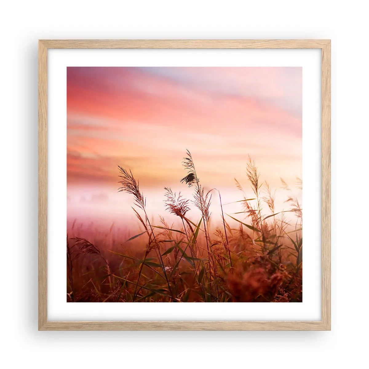 Poster în ramă de stejar deschis - Zmeuri, suflante, vânt - 50x50 cm