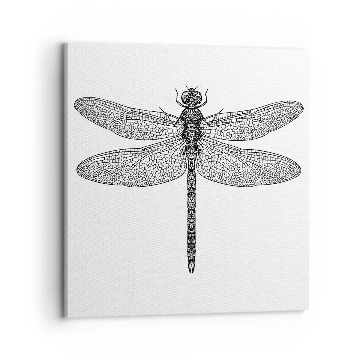 Tablou pe pânză - Precizia naturii - 70x70 cm