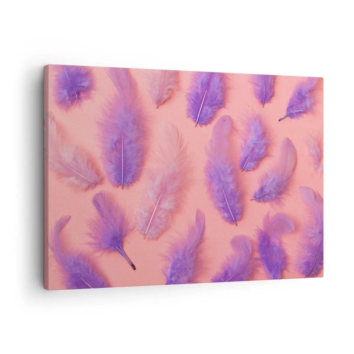 Tablou pe pânză Canvas - Pene violet și roz pe un fundal pastel - 70x50cm - Pasăre liliac de dorință - Decorațiune modernă pentru perete pentru living și dormitor ARTTOR