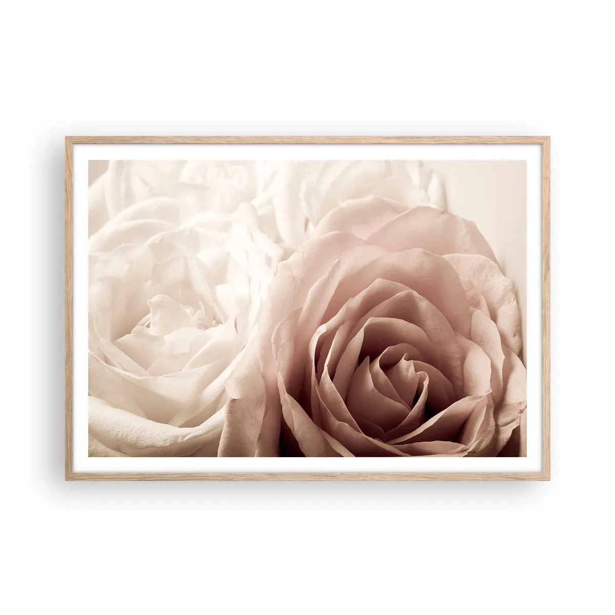 Poster în ramă de stejar deschis - În inima unui trandafir - 100x70 cm