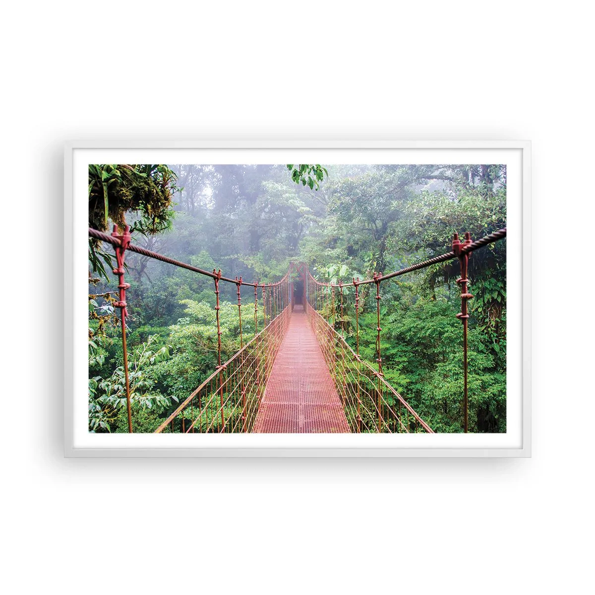 Poster în ramă albă - Suspendat deasupra coroanelor arborilor - 91x61 cm