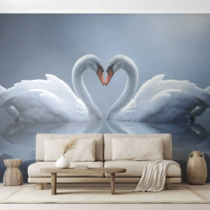 Tapet Premium Canvas - Timp pentru dragoste - Lebedele, Dragoste, inima - 350x256 cm