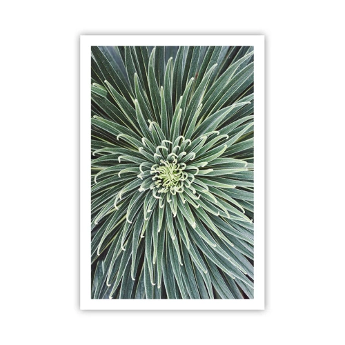 Poster - Nașterea unei stele - 61x91 cm