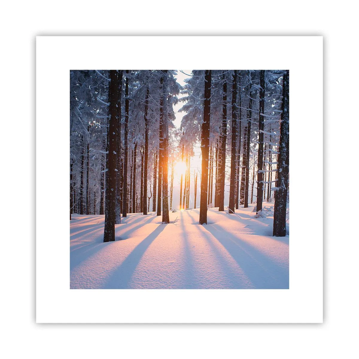 Poster - În mod clar în alb și negru - 30x30 cm