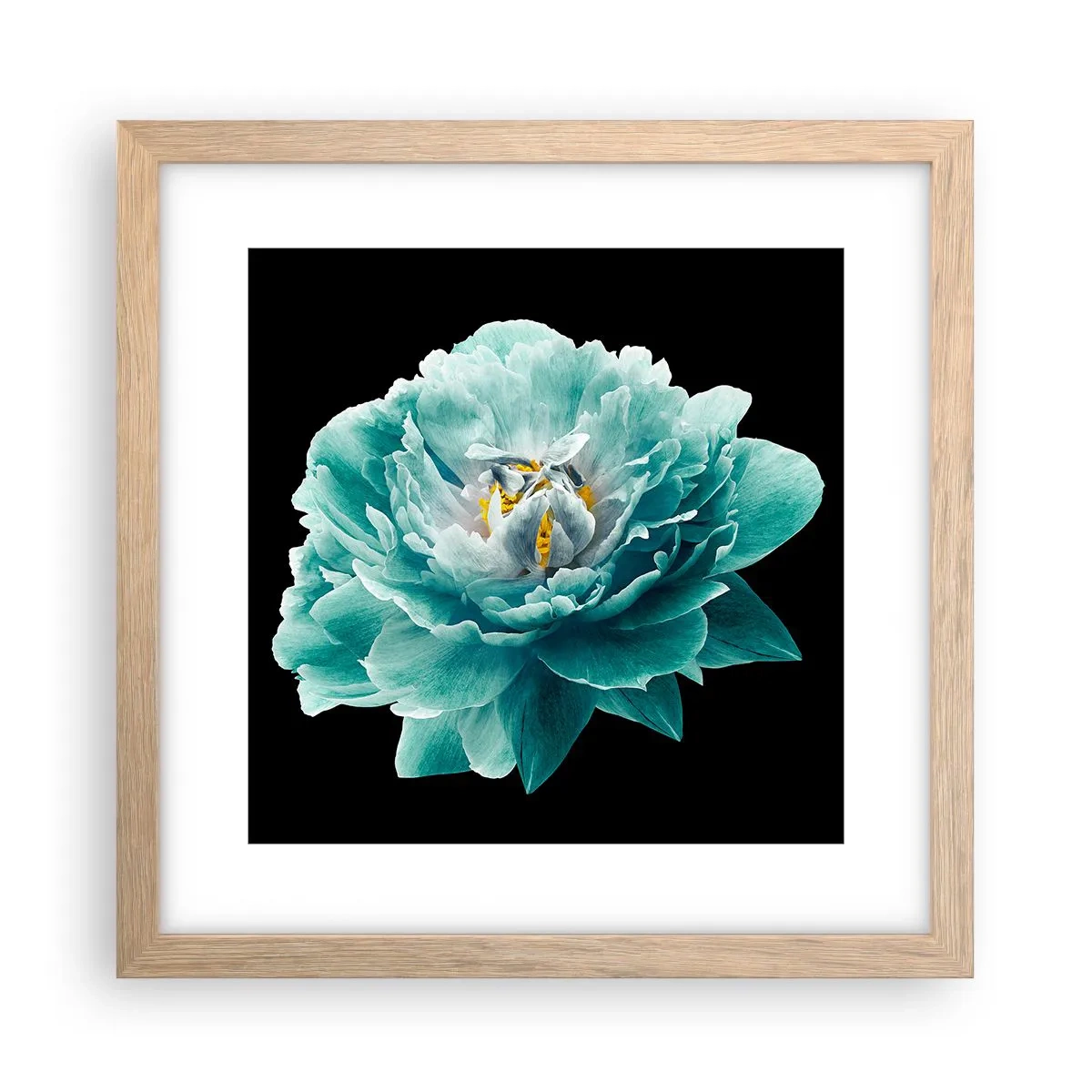 Poster în ramă de stejar deschis - Petale albastre și aurii - 30x30 cm