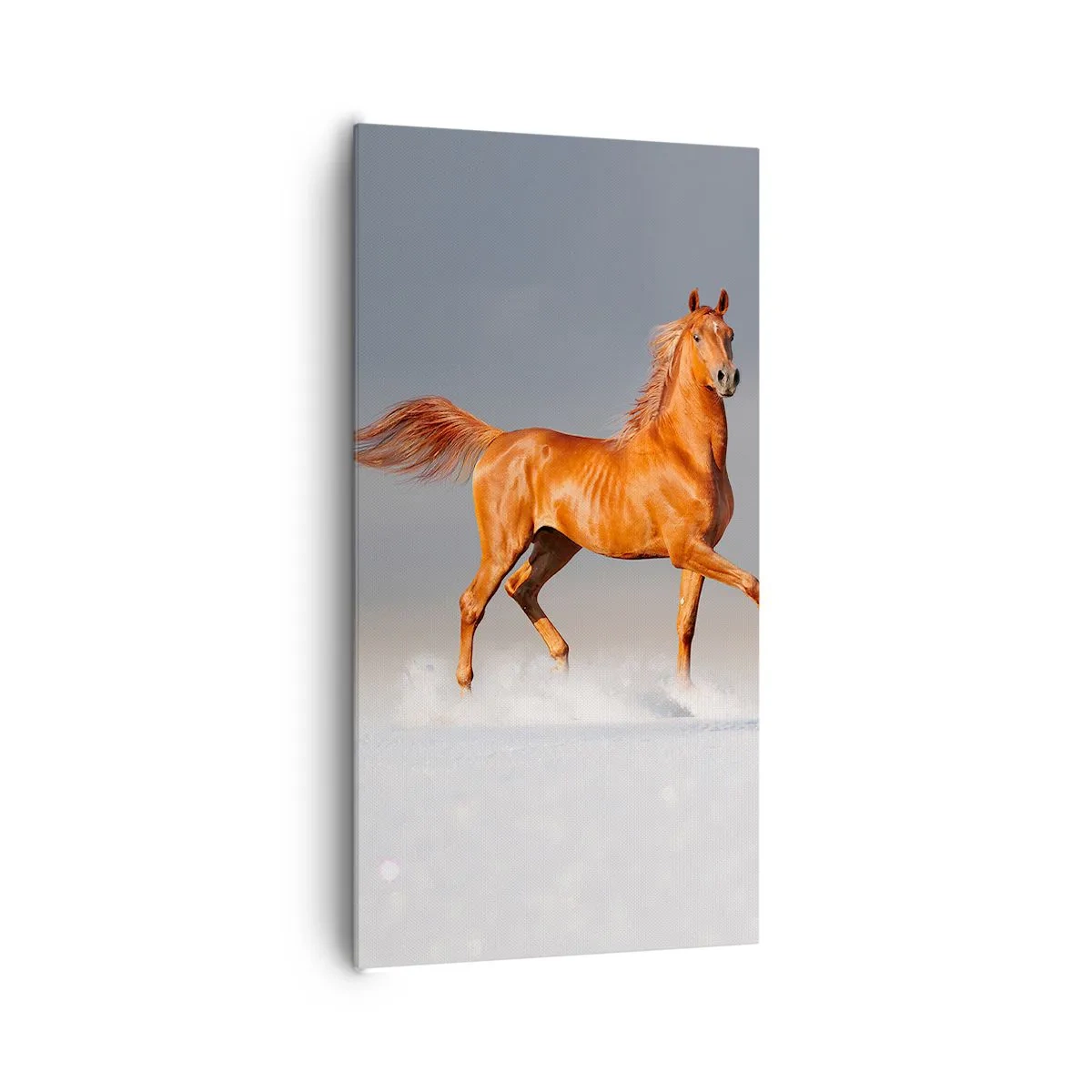 Tablou pe pânză - Dansul grației - 65x120 cm