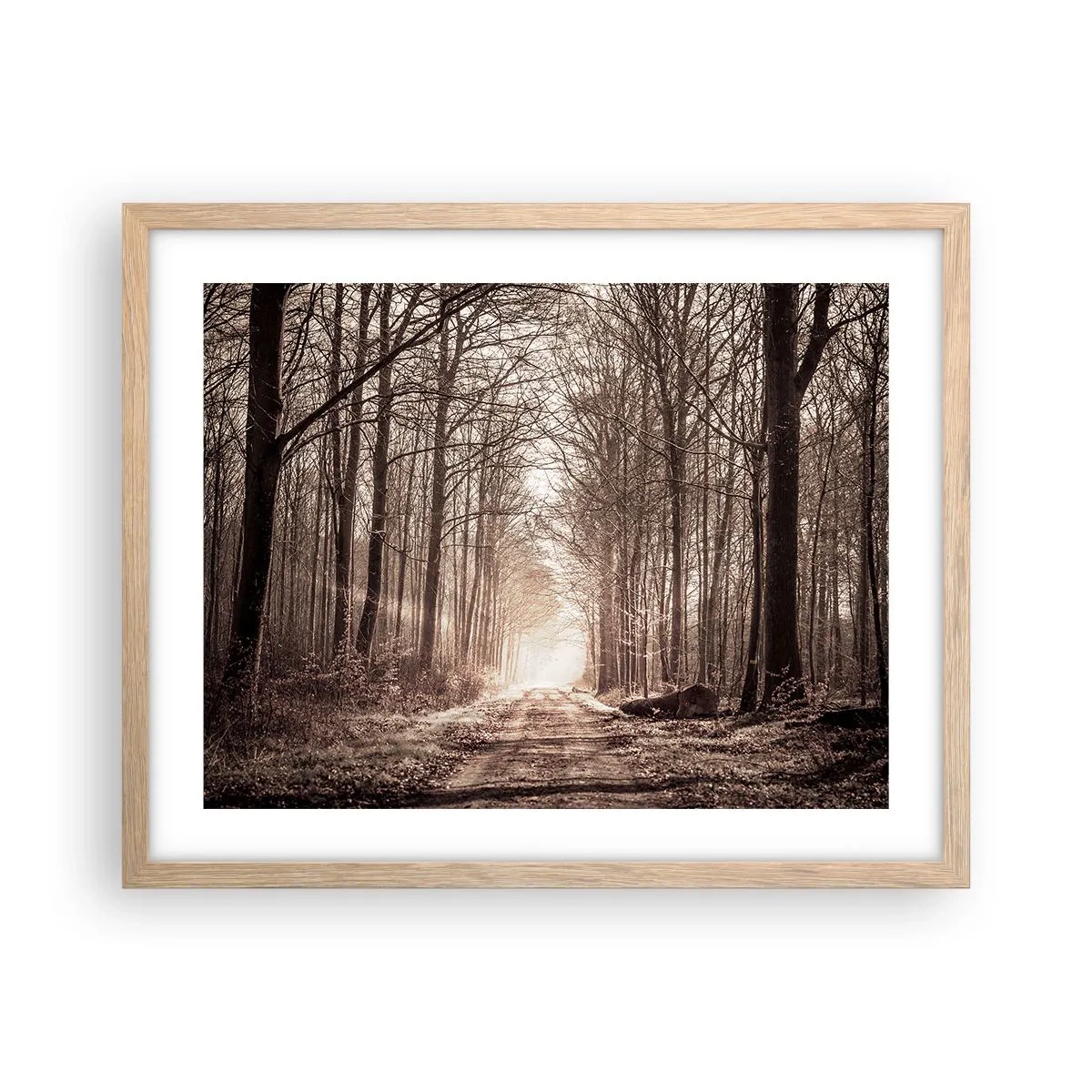 Poster în ramă de stejar deschis - Catedrala Forestieră - 50x40 cm