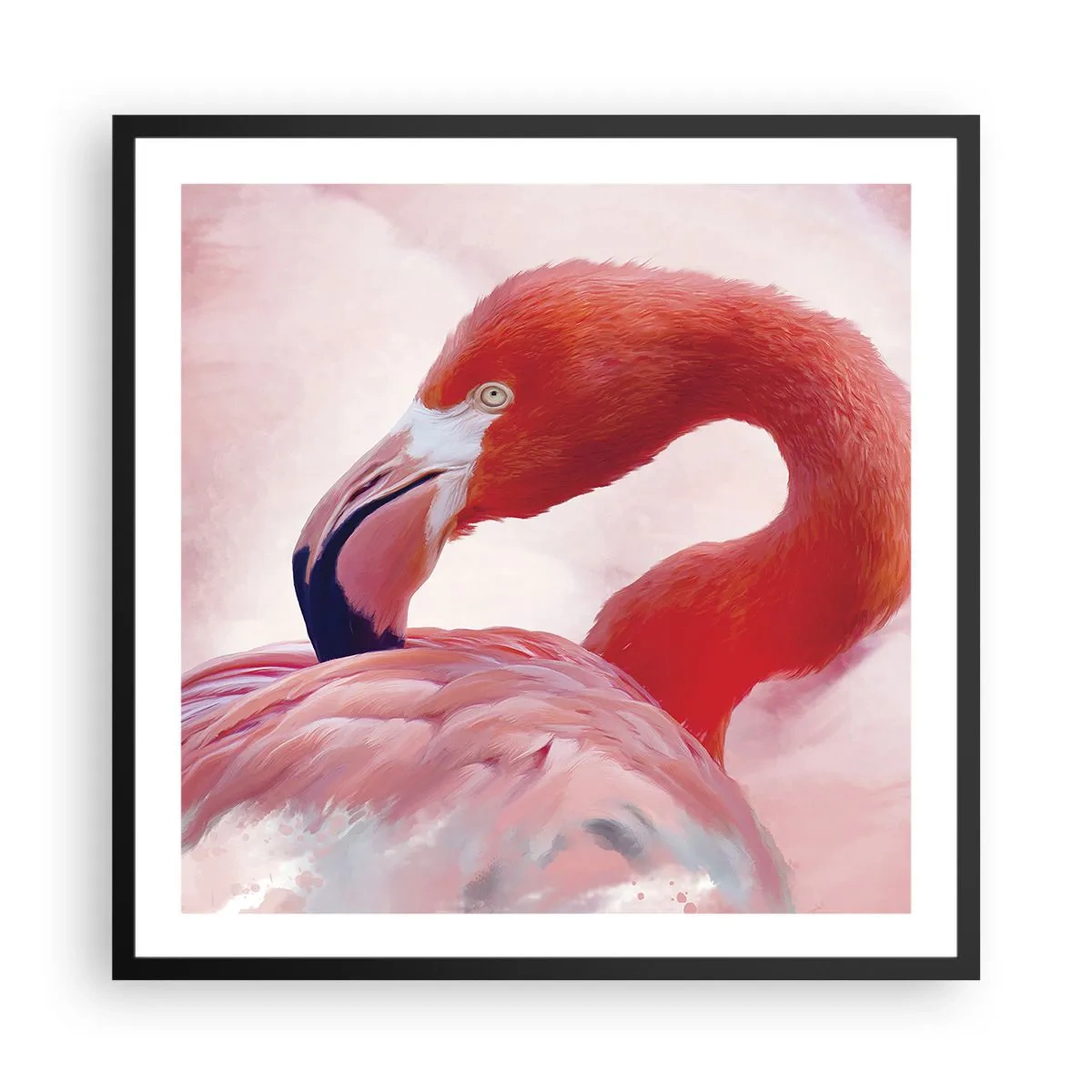 Poster în ramă neagră - Frumusețea păsărilor - 60x60 cm