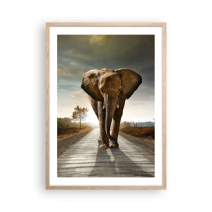 Poster în ramă de stejar deschis - Și-a pierdut cipicii... - 50x70 cm