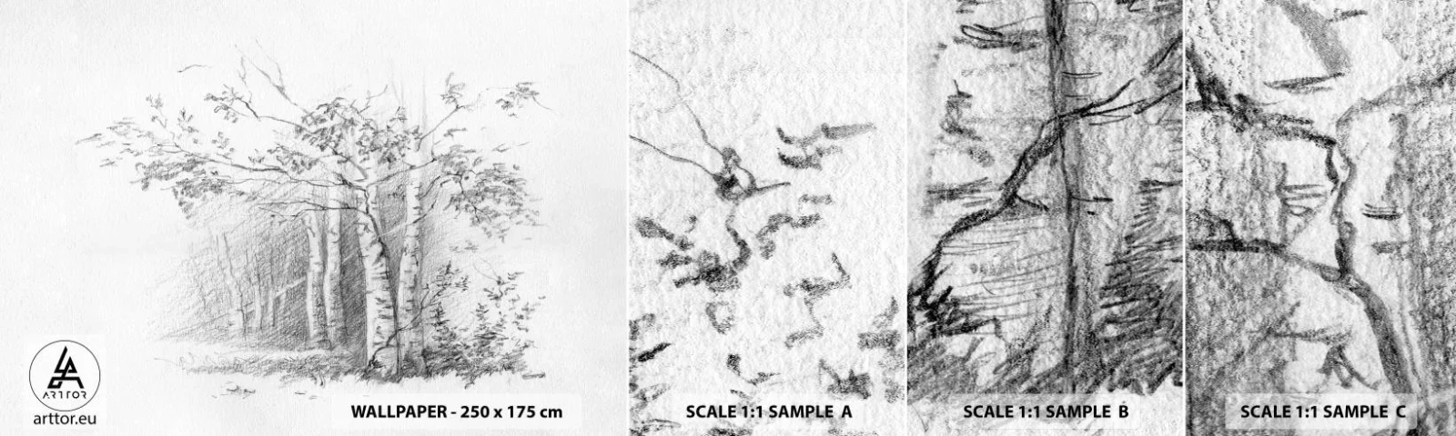 Mostră tapet autocolant Deluxe Sticker - Lumina pădurii de mesteceni - pădure, mesteacăn, Copaci - 100x30 cm