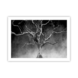 Poster - Primare și sacre - 70x50 cm