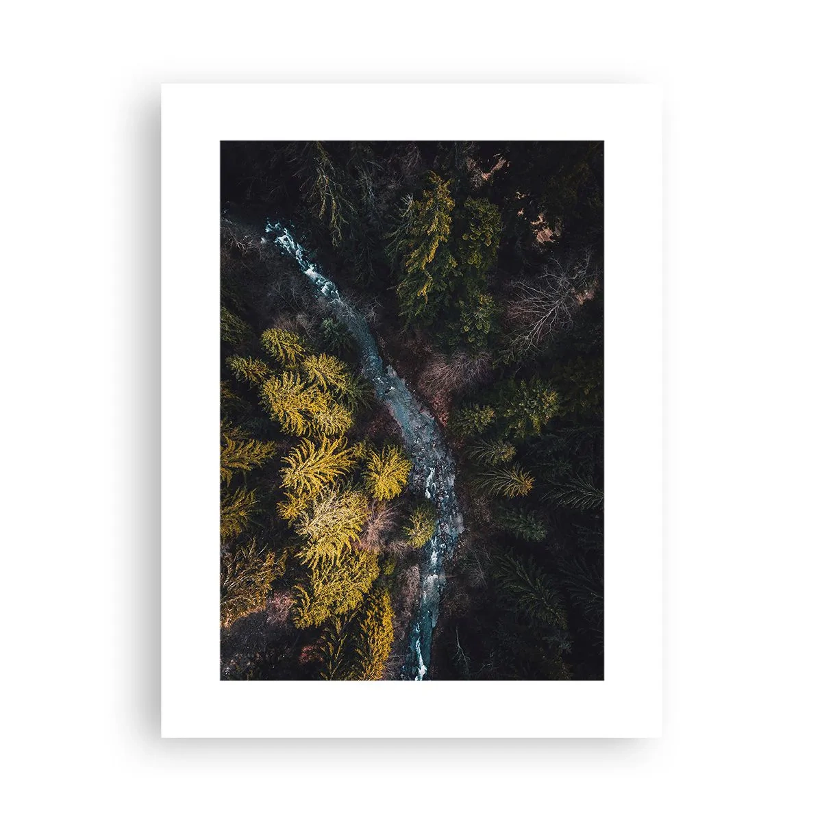 Poster - Rapid și mai rapid - 30x40 cm