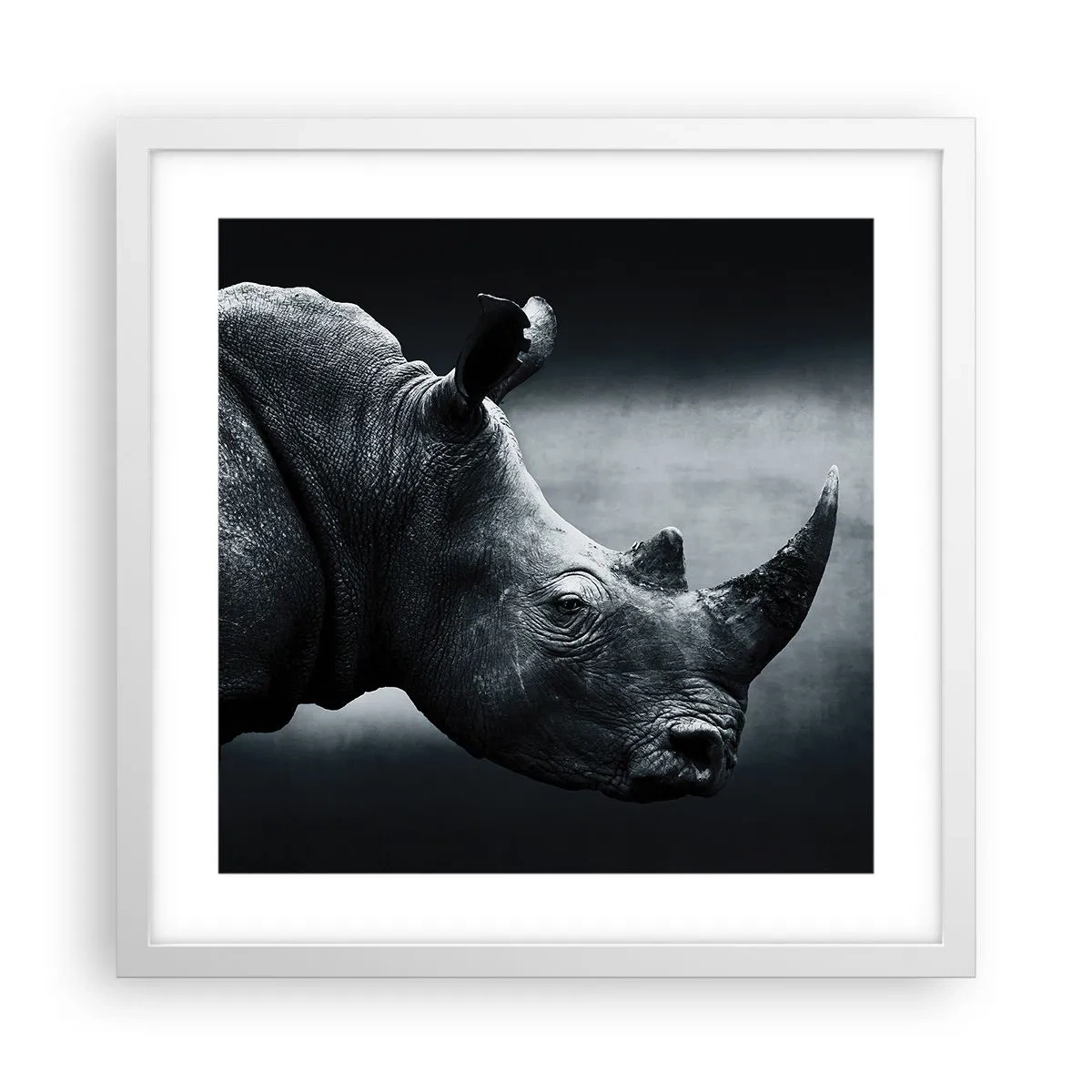 Poster în ramă albă - Profil drept - 40x40 cm