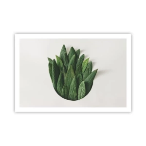 Poster - Curiozitatea nestăvilită - 91x61 cm